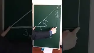 Найти высоту дерева Задача на подобие треугольников 2 часть