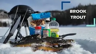 Trout Catch and Cook ON THE ICE! (Ice Fishing)