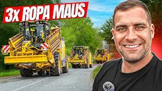 🔥 Sugar Beet Campaign 2025 Begins 🌱🚜 – Transport of 3x ROPA MAUS