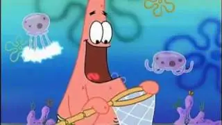 Patrick Ster: de beste momenten. (dutch) Nederlands