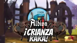 Crianza de Jabalíes 🐗 experimento de economía ¿cuanta plata obtendremos? | Albion Online