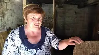 После отела не отошёл послед! что же делать?