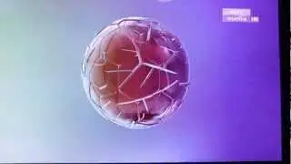 Astro MUSTIKA HD: Ident / MeleTOP opener intro