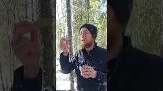Как изгнать лесного духа? 