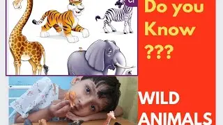Wild animals | What Are Wild animals | CoCoEDU.in | Hindi