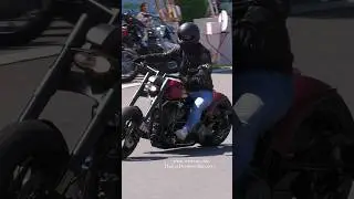 #shorts #short #shortvideo #shortsvideo #shortsfeed #custom #shortsyoutube #harleydavidson #harley