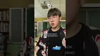 Почему ты ни за что не захочешь учиться в Корее🇰🇷 #корея #кореец #россия