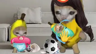 BANANA CAT 🍌🐱 BROS BAD LUCK 😿 VIDEOS 2 ( 2 MINUTES )