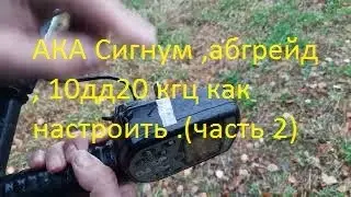 АКА Сигнум /кат.10дд20 кгц/курки,крутилки и их настройка,тест на поле .  (часть 2 )