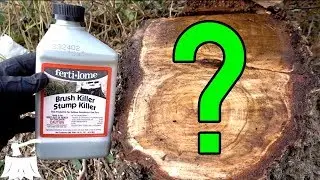 Will Fertilome Brush and Stump Killer Kill A Tree?