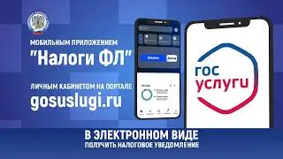 имущественные налоги