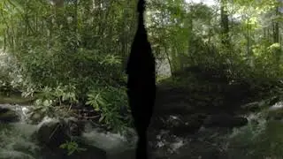 VR 180 waterfall test 4k 60p
