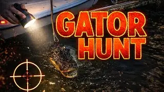 Alligator Hunting in a 24ft Bay Boat | FL Gator Hunting 2021