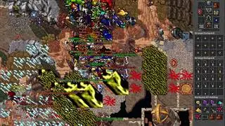 Wicked Elite (415) [Elite Knight] - Candia