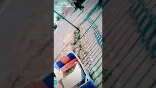 Нашли щенка которого раздавила машина 😞😩😫