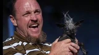 Blind canine with one blue eye named SweePee Rambo wins World's Ugliest Dog contest