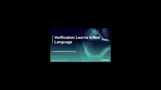 Using Python in Verification