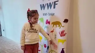 Dünya Saati 2024 Nasıl Geçti? 🌎🐼