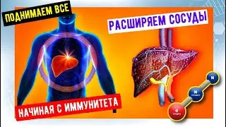 ТОП 8 ФРУКТОВ И ОВОЩЕЙ НАИБОЛЕЕ ПОЛЕЗНЫХ ДЛЯ СЕРДЦА И СОСУДОВ