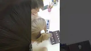 Шахматы для одного