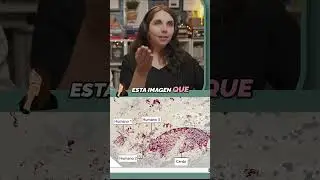 ¡El descubrimiento más antiguo! Pintura rupestre de hace 51,200 años