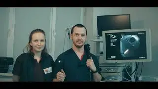 Эндоскопия. Ветеринарный госпиталь "Зоозащита НН"