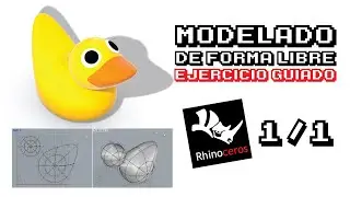 Rhinoceros 3D: Ejercicio Patito de Goma