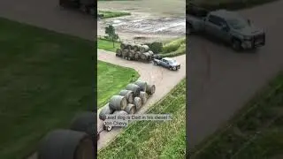 Thanks to the Tri-State Chevy Dealers of Iowa, I’m hauling hay with Chevy Silverado 3500 HD. #ad