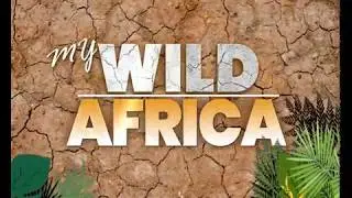 My Wild Africa on Citizen TV every Sunday at 5:30 pm