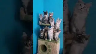 U-шки и V-шки полным составом❤️ 