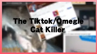 The Tiktok/Omegle Cat Killer