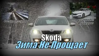 Skoda: Зима Не Прощает (2022)