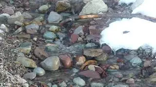 Argillite Creek