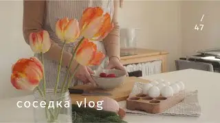 Ep. 47 🌾 повседневный влог | готовим со мной | садоводство