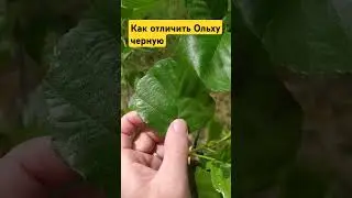 19 июня 2024 г.