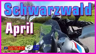 BMW R 1250 GS, Schwarzwald, April, Frühling :)