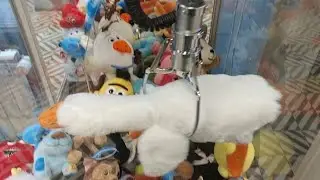 😱ГУСЬ🪿ОБНИМУСЬ🪿В АППАРАТЕ ХВАТАЙКА🔥ЭТО Ж НАДО‼️Как играть и выигрывать в аппарате с игрушками?!💥