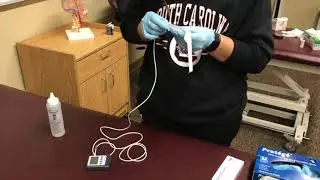 Rectal Tempterature