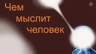 Чем мы думаем или правда о мозге
