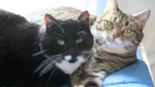 Bonnie & Chloe