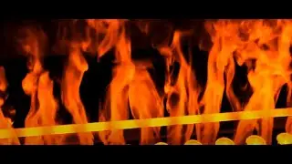The Green Flame Gas Co. fuels growth thanks to streamlined process with SAP Business One
