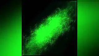 Bitvibe 2022 | Hectoliters