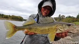 Shore Fishing For WHATEVER Bites!