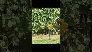 срашна 