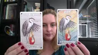 The Wild Unknown Tarot Second Edition & The First Edition Differences