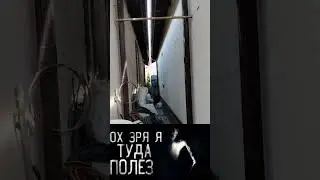 зряя