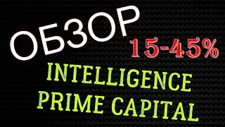 Обзор INTELLIGENCE PRIME CAPITAL