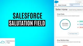 Salesforce Salutation Picklist Field Update