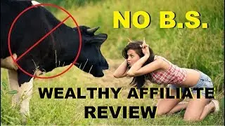 ✅ WEALTHY AFFILIATE REVIEW - NO B.S. (updated 2020) ✅