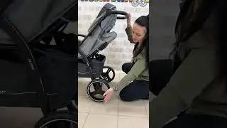 Коляска прогулочная Rant Basic Alpine Eva 2024